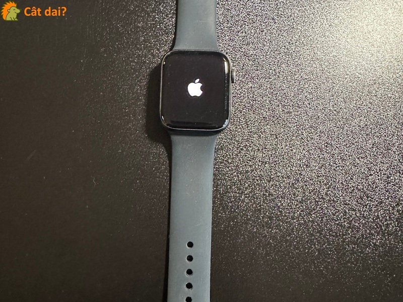 Vand Apple Watch Series 6 44 mm - 1/5