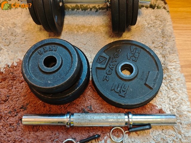 gantere 28kg