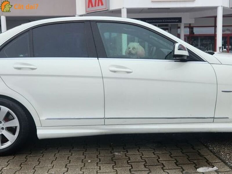 Mercedes-Benz C-Class (W204) alb, 205790 km - 5/10