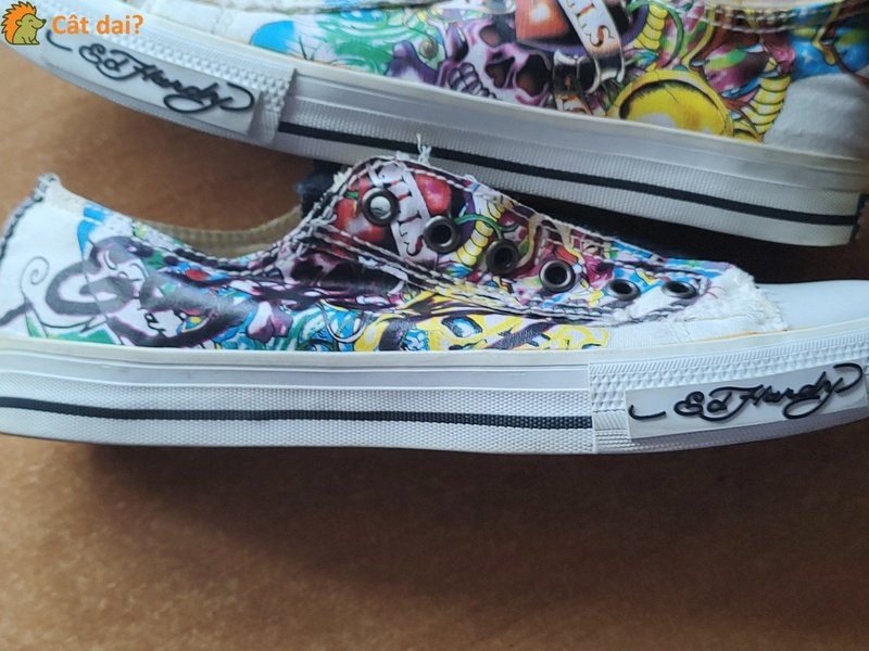 Tenisi Ed Hardy, multicolor, uzura - 4/8