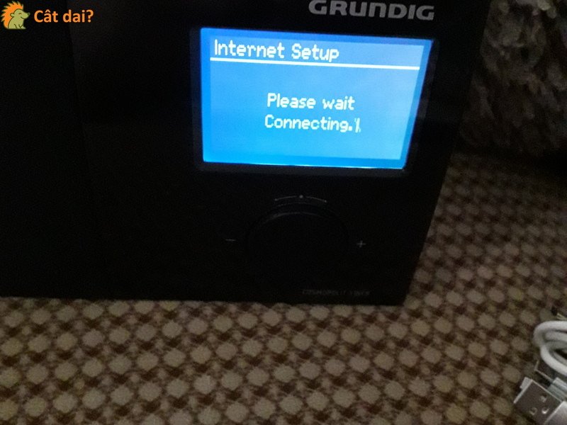 Radio Grundig Cosmopoliti 3 Web cu telecomanda - 3/10
