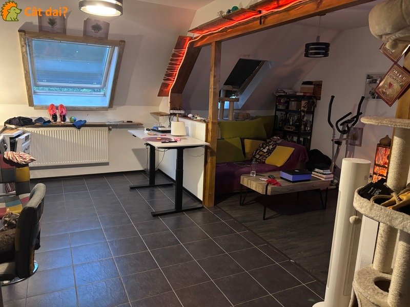 Apartament cu 3 camere de vanzare - 2/8