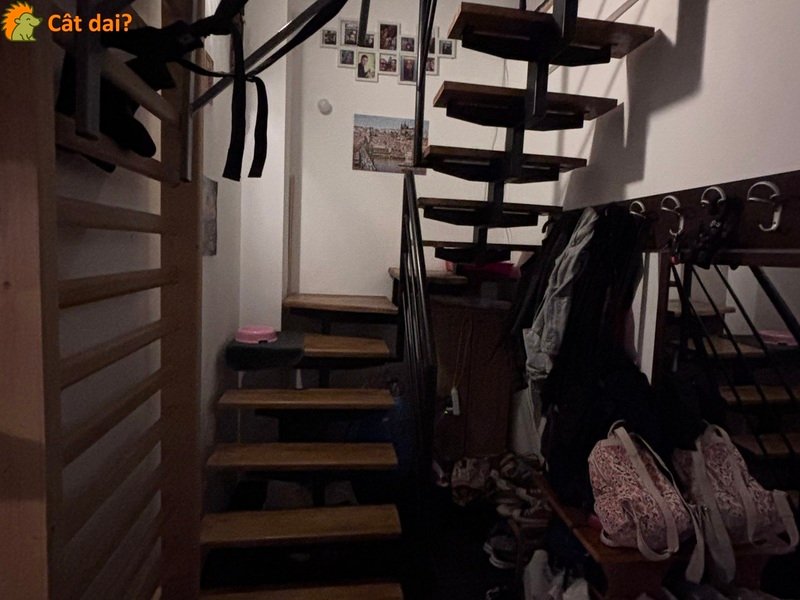 Apartament cu 3 camere de vanzare - 4/8