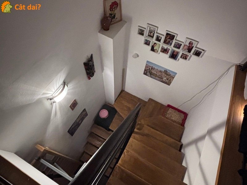 Apartament cu 3 camere de vanzare - 5/8