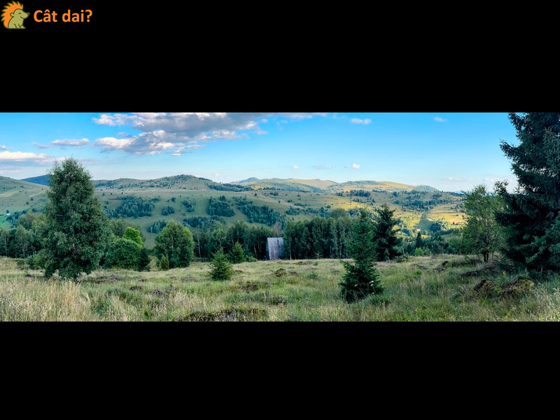 Teren 1000mp, Muntele Băișorii. Vedere superbă, gata de construit. - 1/8