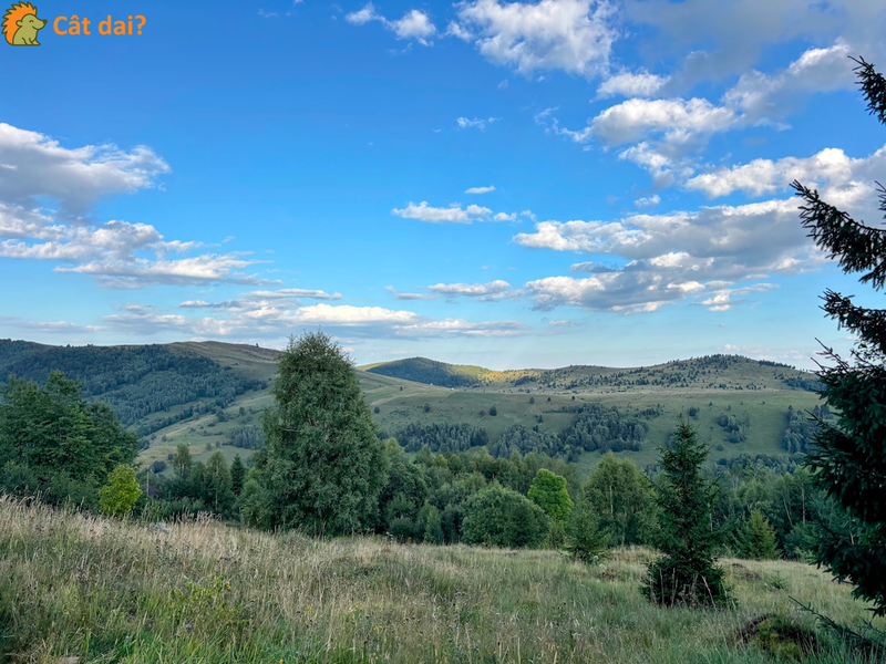 Teren 1000mp, Muntele Băișorii. Vedere superbă, gata de construit. - 2/8