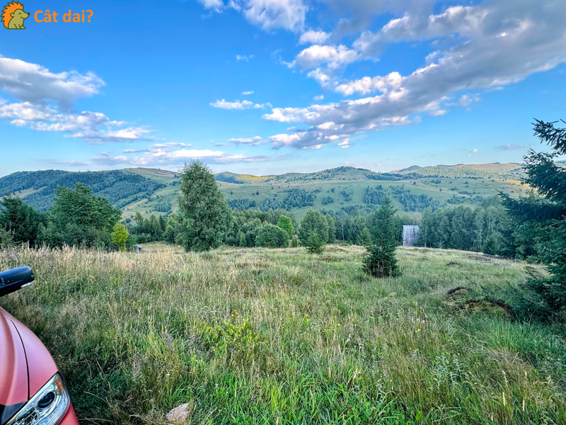 Teren 1000mp, Muntele Băișorii. Vedere superbă, gata de construit. - 3/8
