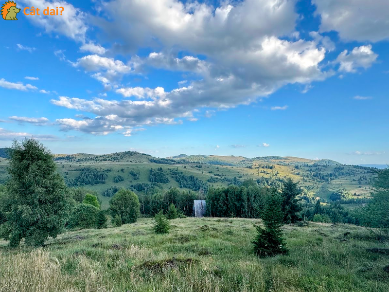 Teren 1000mp, Muntele Băișorii. Vedere superbă, gata de construit. - 4/8