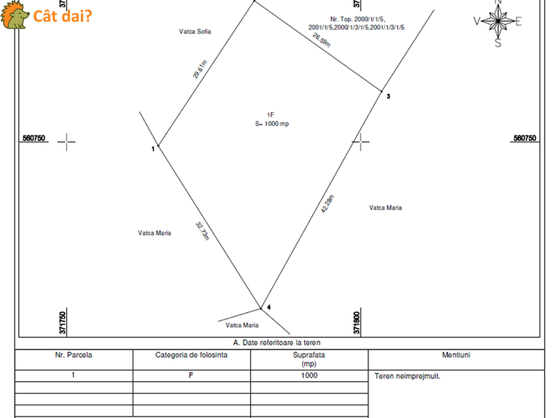 Teren 1000mp, Muntele Băișorii. Vedere superbă, gata de construit. - 5/8