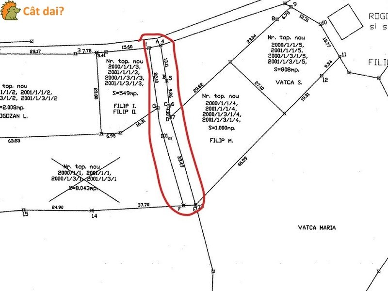 Teren 1000mp, Muntele Băișorii. Vedere superbă, gata de construit. - 8/8